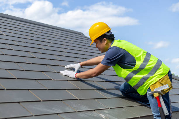 Professional Roofing services in Pueblo, CO