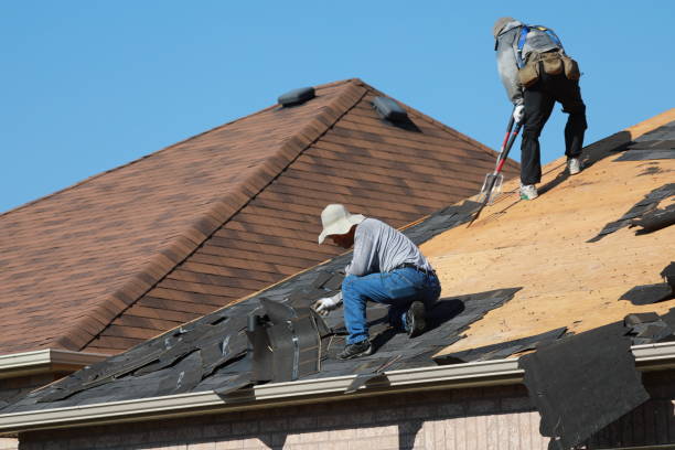 Best Roof Waterproofing  in Pueblo, CO