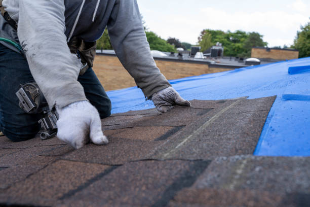 Best Roof Waterproofing  in Pueblo, CO