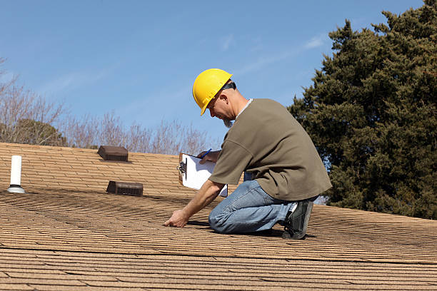 Best Roof Moss and Algae Removal  in Pueblo, CO